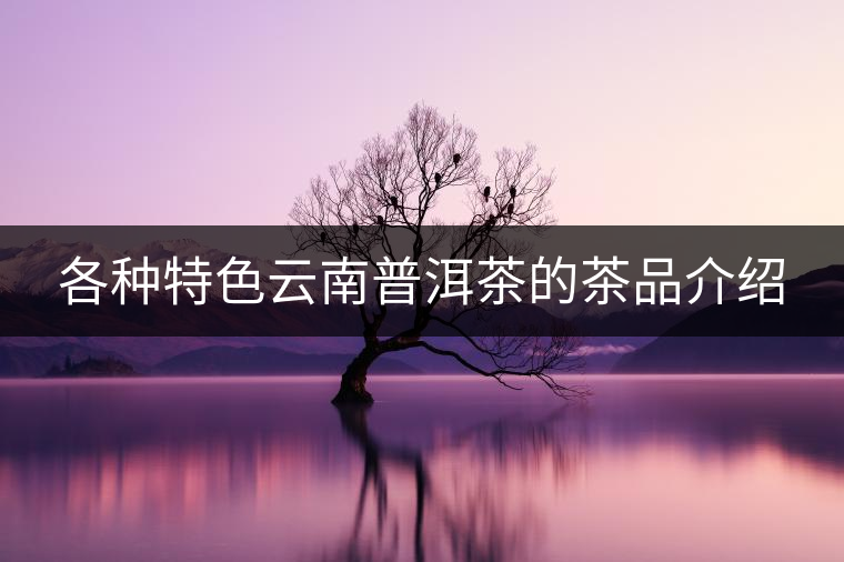 各種特色云南普洱茶的茶品介紹 各種特色云南普洱茶的茶品介紹