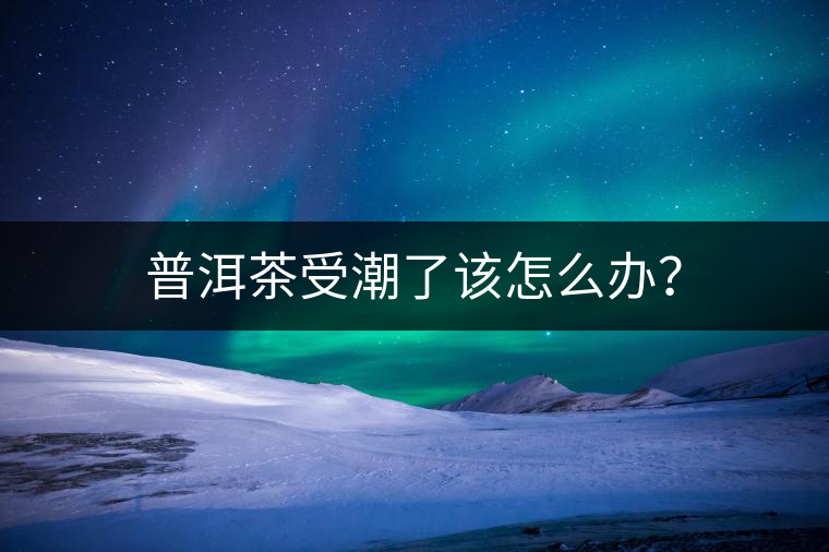 普洱茶受潮了該怎么辦？