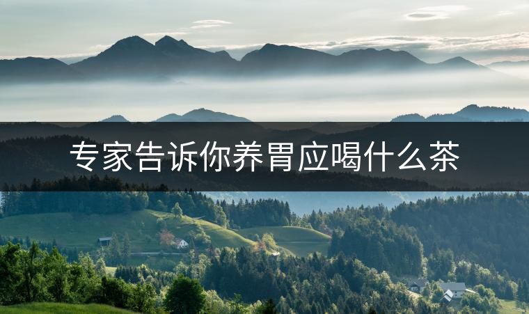 專家告訴你養(yǎng)胃應喝什么茶 專家告訴你養(yǎng)胃應喝什么茶