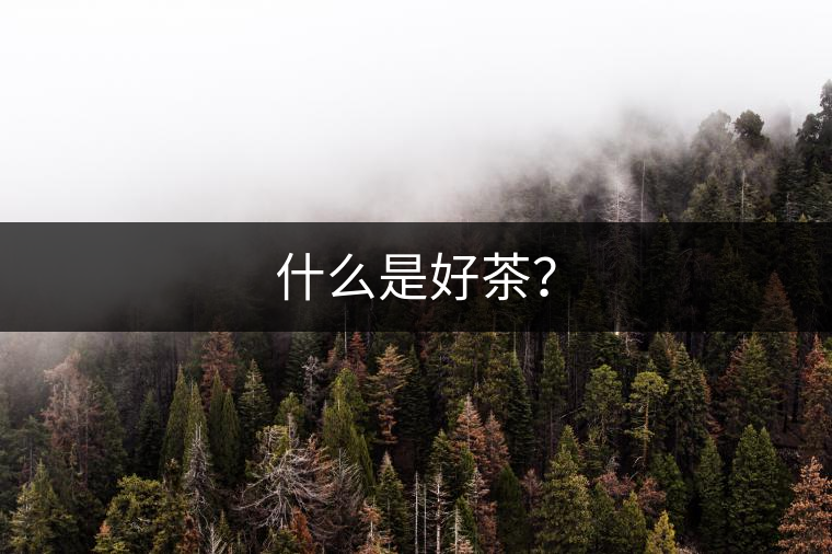 什么是好茶？