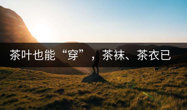 茶葉也能“穿”，茶襪、茶衣已進入研發(fā)階段