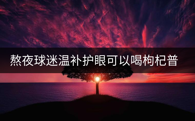 熬夜球迷溫補(bǔ)護(hù)眼可以喝枸杞普洱茶 熬夜球迷溫補(bǔ)護(hù)眼可以喝枸杞普洱茶