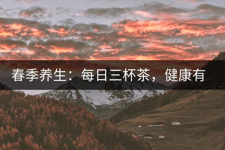 春季養(yǎng)生：每日三杯茶，健康有保障