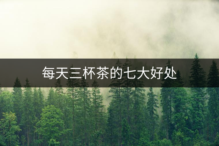 每天三杯茶的七大好處