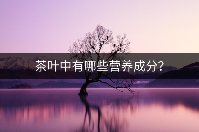 茶葉中有哪些營(yíng)養(yǎng)成分？