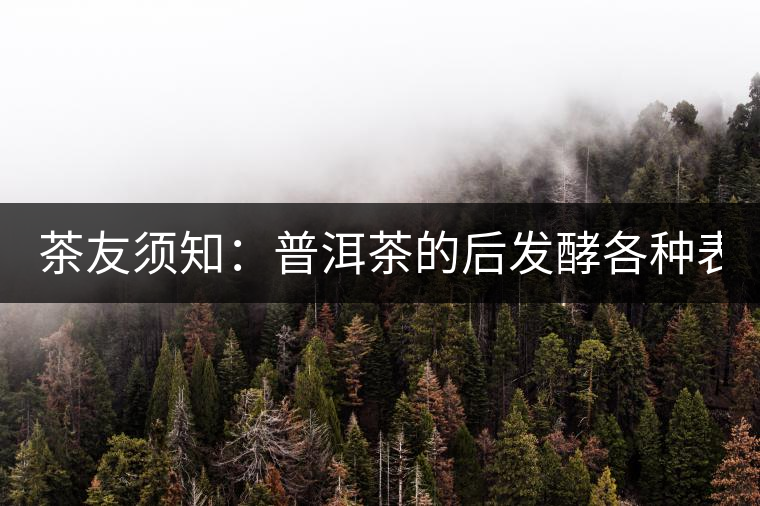 茶友須知：普洱茶的后發(fā)酵各種表現(xiàn) 喝普洱有益健康的奧妙所在！