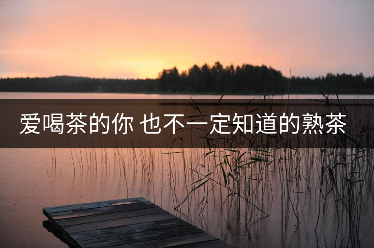 愛喝茶的你 也不一定知道的熟茶知識(shí)！