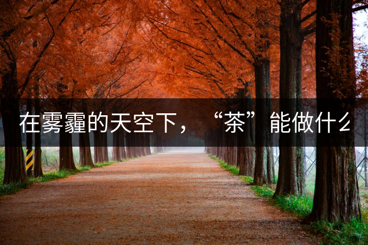 在霧霾的天空下，“茶”能做什么？