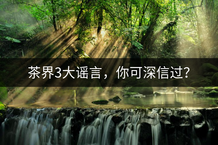 茶界3大謠言，你可深信過？