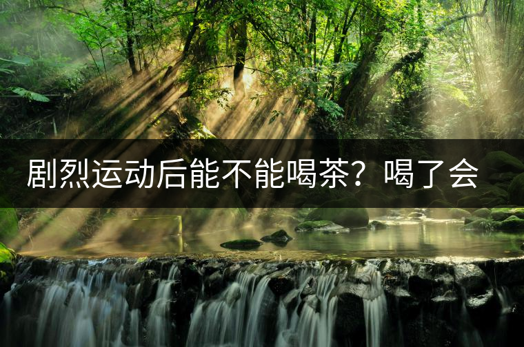劇烈運(yùn)動后能不能喝茶？喝了會有什么不適？