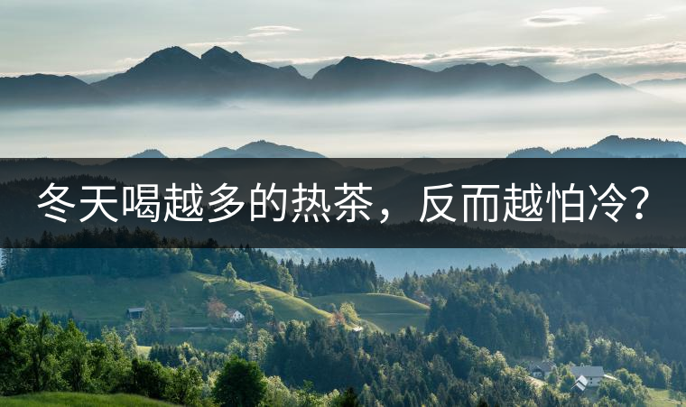 冬天喝越多的熱茶，反而越怕冷？