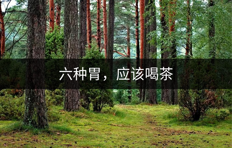 六種胃，應(yīng)該喝茶