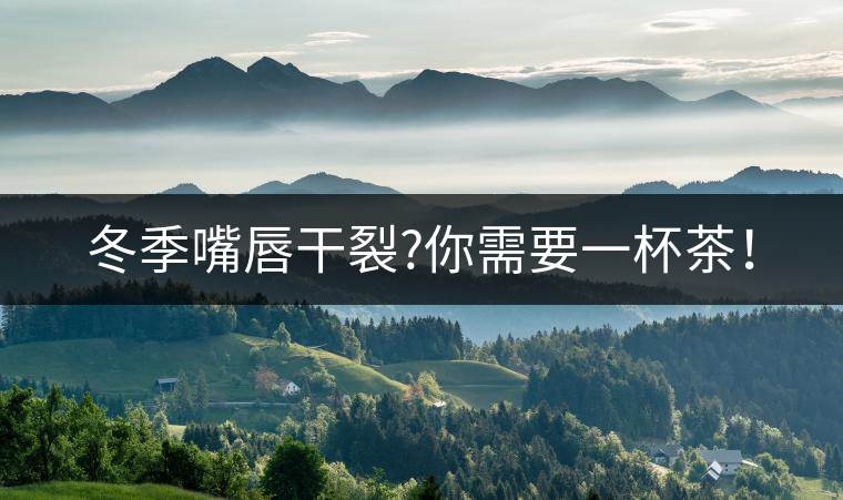 冬季嘴唇干裂?你需要一杯茶！