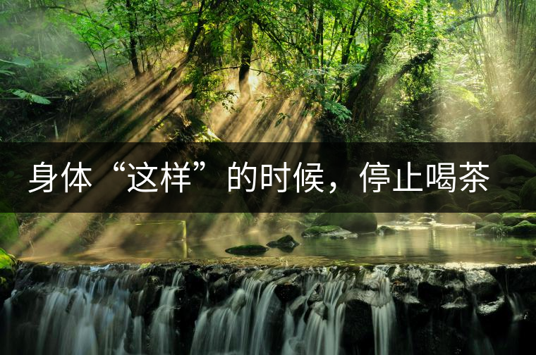 身體“這樣”的時候，停止喝茶！當(dāng)心好茶變“毒藥”！