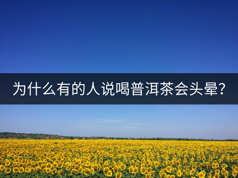 為什么有的人說(shuō)喝普洱茶會(huì)頭暈？