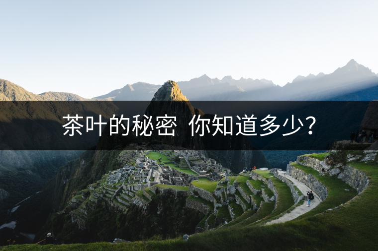 茶葉的秘密  你知道多少？