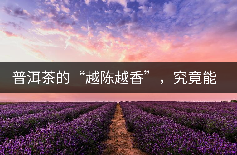 普洱茶的“越陳越香”，究竟能“陳”多久