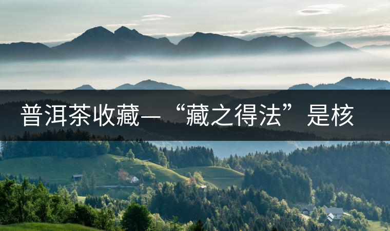 普洱茶收藏—“藏之得法”是核心