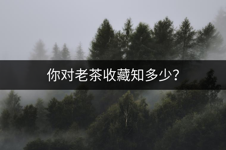 你對老茶收藏知多少？