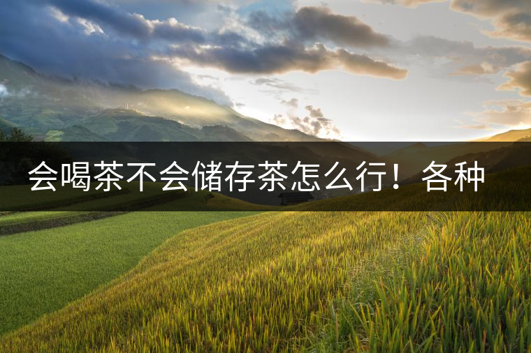 會(huì)喝茶不會(huì)儲(chǔ)存茶怎么行！各種存茶方法與技巧，把茶香留住