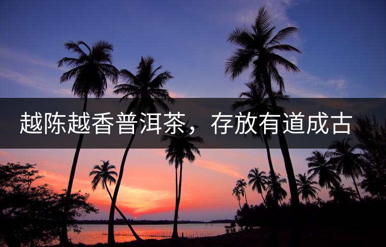 越陳越香普洱茶，存放有道成古董