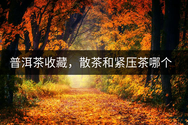 普洱茶收藏，散茶和緊壓茶哪個更好？