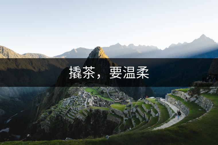 撬茶，要溫柔