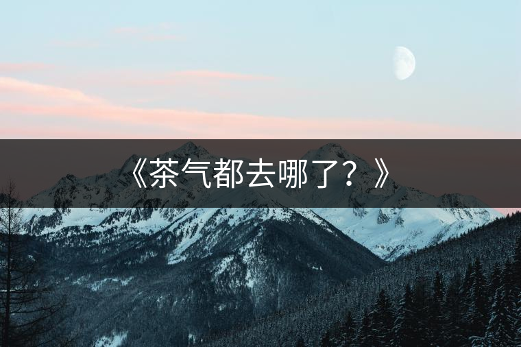 《茶氣都去哪了？》