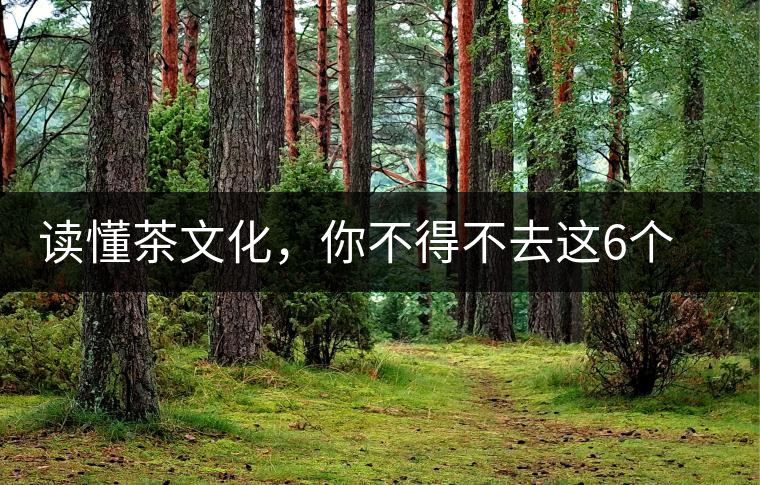 讀懂茶文化，你不得不去這6個城市