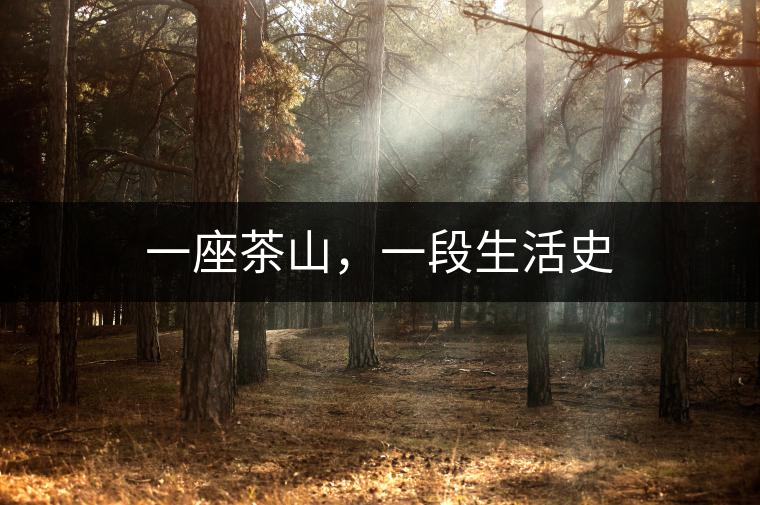 一座茶山，一段生活史