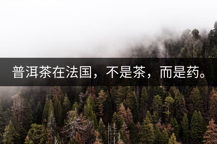 普洱茶在法國，不是茶，而是藥。