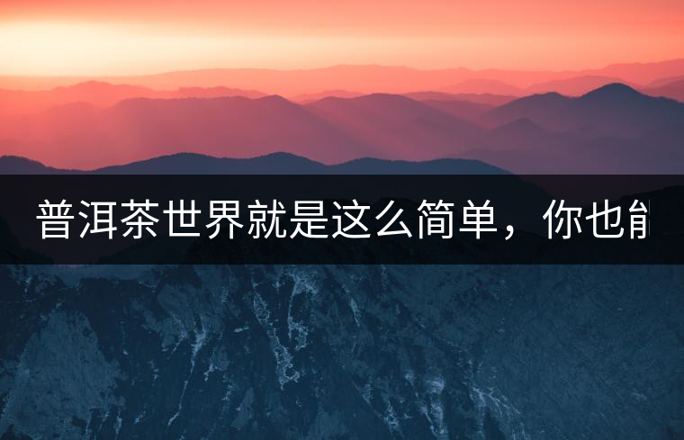 普洱茶世界就是這么簡單，你也能懂！