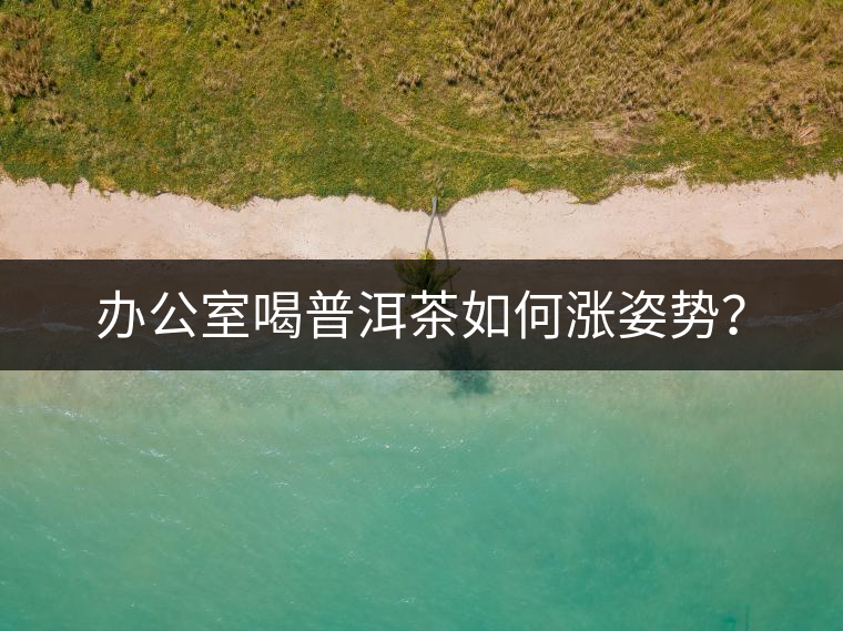 辦公室喝普洱茶如何漲姿勢？