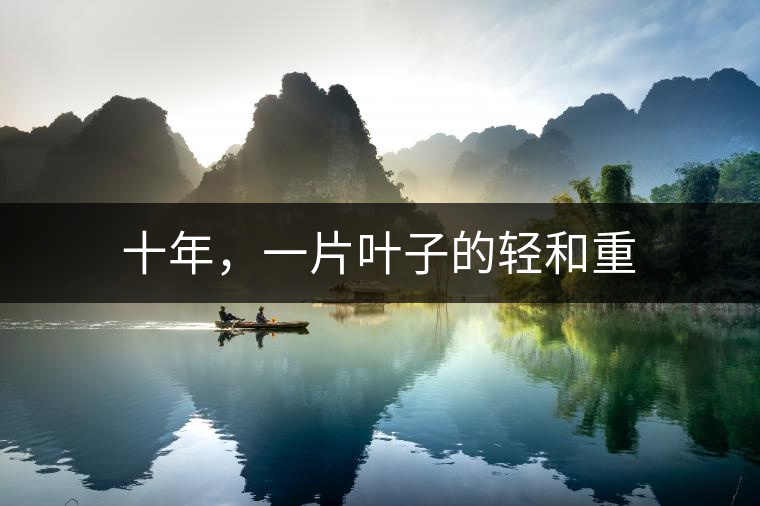 十年，一片葉子的輕和重
