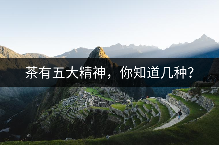 茶有五大精神，你知道幾種？