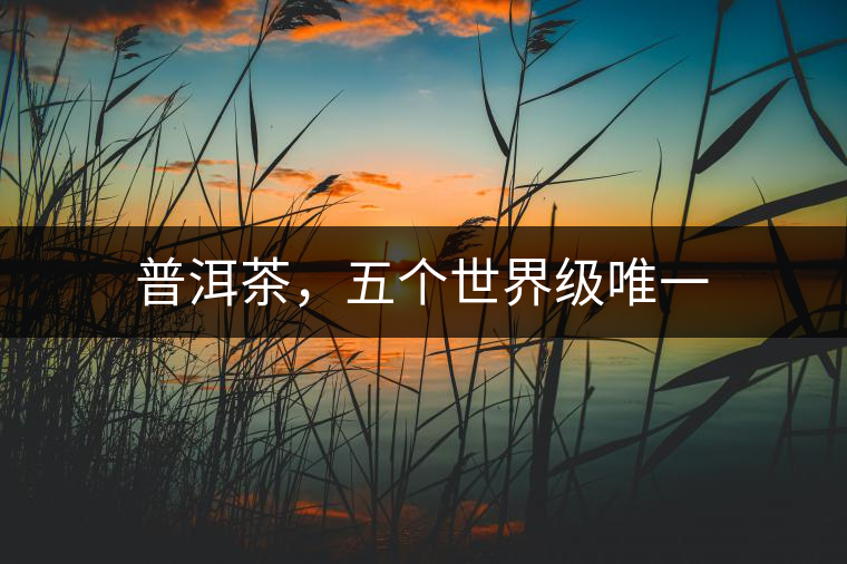 普洱茶，五個世界級唯一