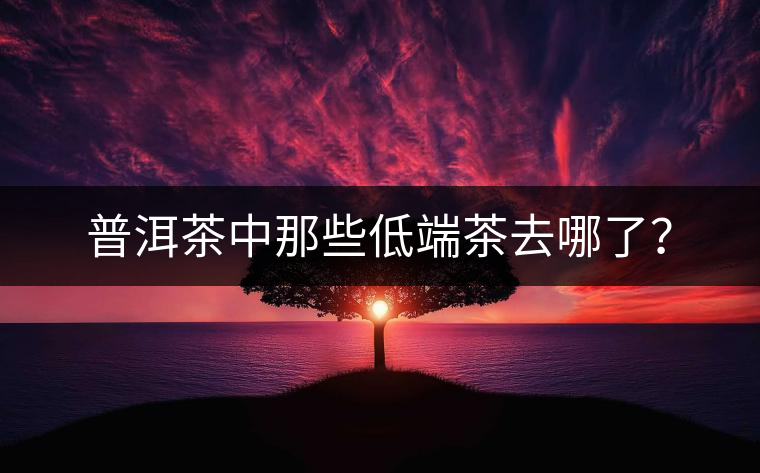 普洱茶中那些低端茶去哪了？