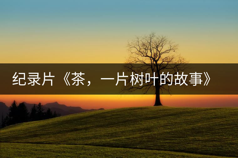 紀(jì)錄片《茶，一片樹(shù)葉的故事》 茶文化的詩(shī)意追尋