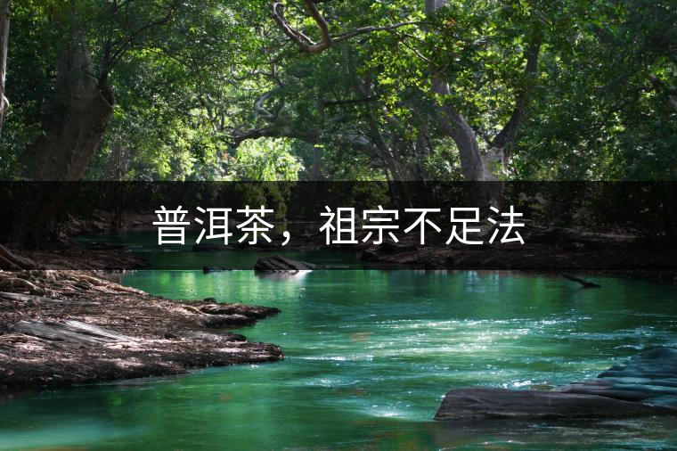 普洱茶，祖宗不足法