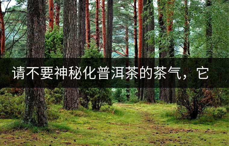 請(qǐng)不要神秘化普洱茶的茶氣，它是科學(xué)的存在