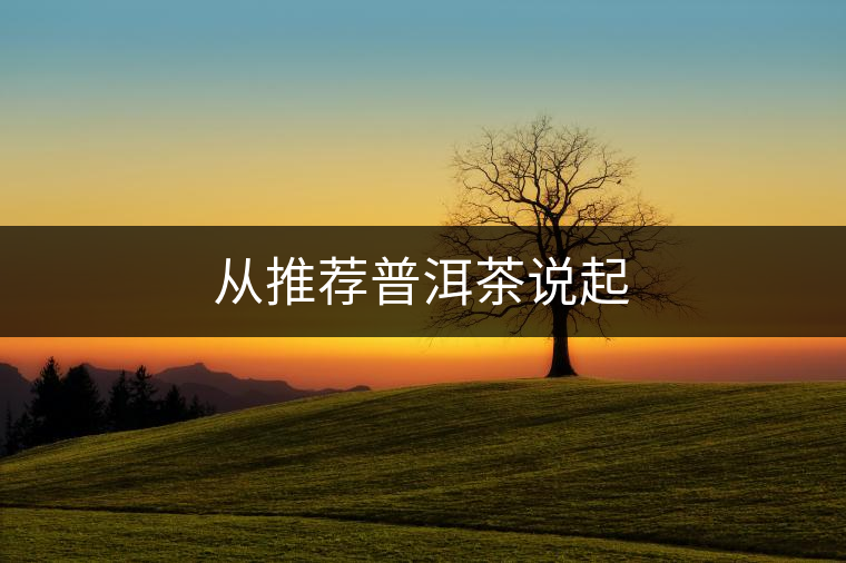 從推薦普洱茶說(shuō)起