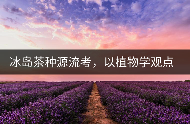 冰島茶種源流考，以植物學觀點解讀冰島茶