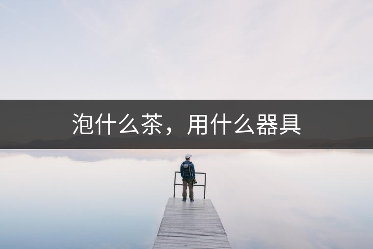 泡什么茶，用什么器具