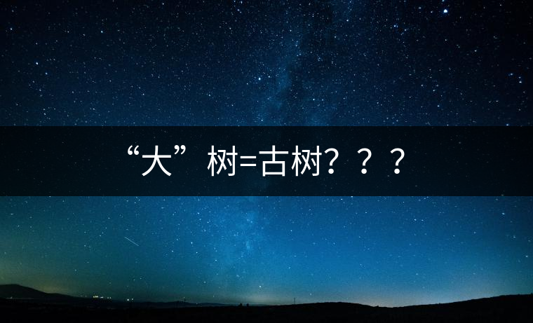 “大”樹=古樹？？？
