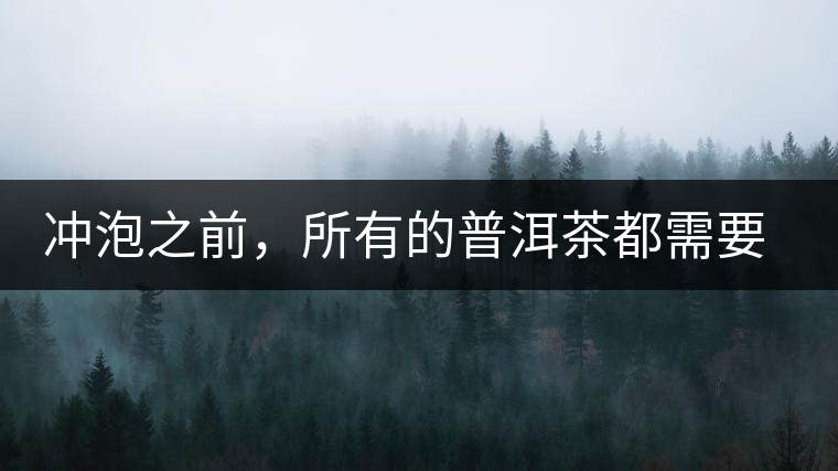 沖泡之前，所有的普洱茶都需要醒茶嗎？