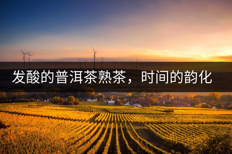 發(fā)酸的普洱茶熟茶，時(shí)間的韻化會(huì)讓它驚艷無(wú)比！