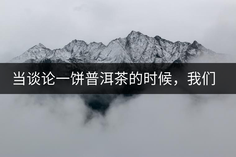 當談論一餅普洱茶的時候，我們該談些什么？