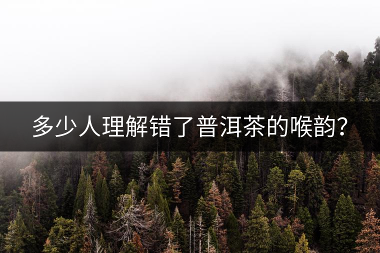 多少人理解錯(cuò)了普洱茶的喉韻？