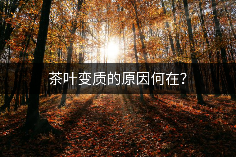 茶葉變質(zhì)的原因何在？