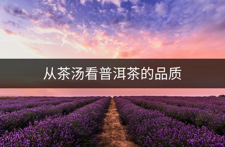 從茶湯看普洱茶的品質(zhì) 從茶湯看普洱茶的品質(zhì)